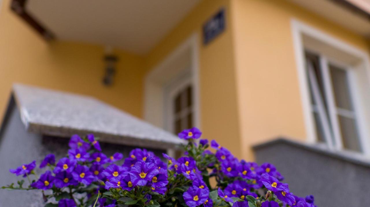 Ferienwohnung Claudia ザルツブルク エクステリア 写真